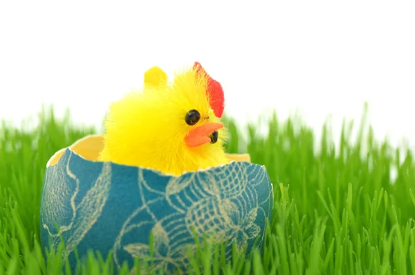 Lite påsk kyckling i påsk ägg i gräset — Stockfoto