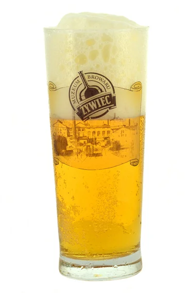 Zywiec Bier in einem Glas isoliert auf weißem Hintergrund — Stockfoto