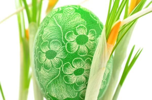 Uovo di Pasqua tradizionale graffiato fatto a mano tra fiori di croco gialli — Foto Stock