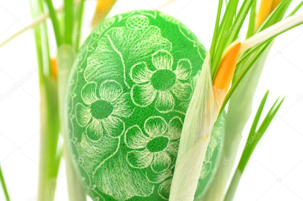 Traditional scratched handmade Easter egg among yellow crocus flowers