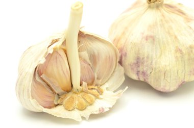 Sarımsak soğanları beyaz arkaplanda izole edilmiş