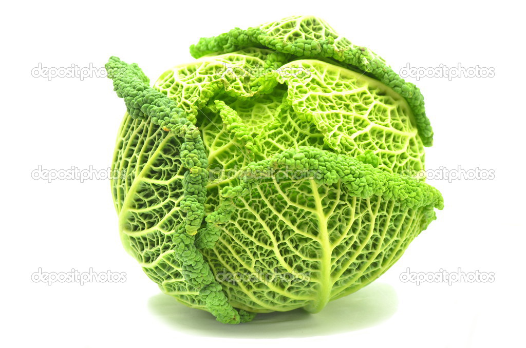 Italian cabbage isolated on white background
