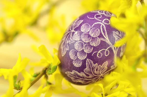 Traditional scratched handmade Easter egg and forsythia flowers — Stock Photo, Image