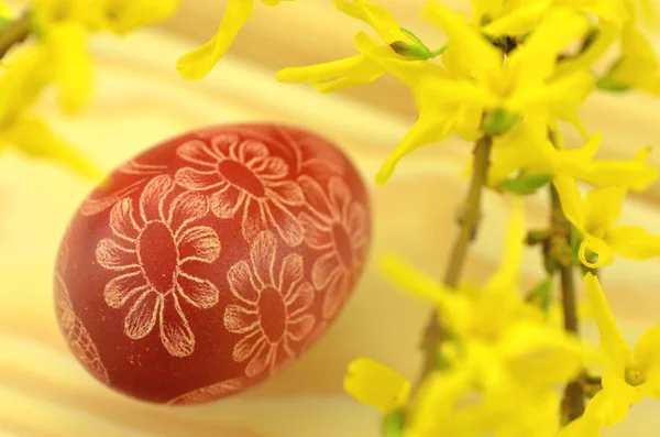 Tradicional rayado hecho a mano huevo de Pascua y flores de forsythia —  Fotos de Stock