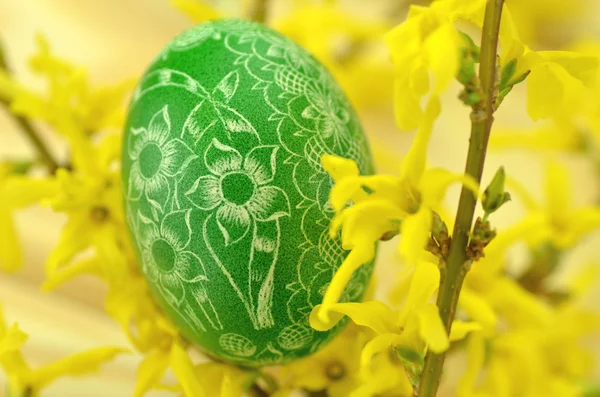 Tradicional rayado hecho a mano huevo de Pascua y flores de forsythia — Foto de Stock