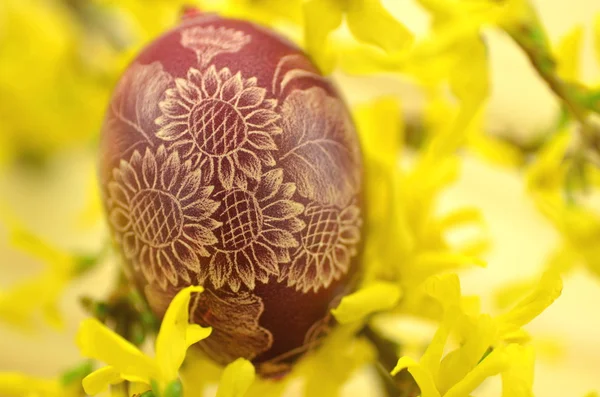 Tradicional rayado hecho a mano huevo de Pascua y flores de forsythia — Foto de Stock