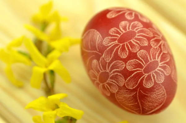 Tradicional rayado hecho a mano huevo de Pascua y flores de forsythia — Foto de Stock