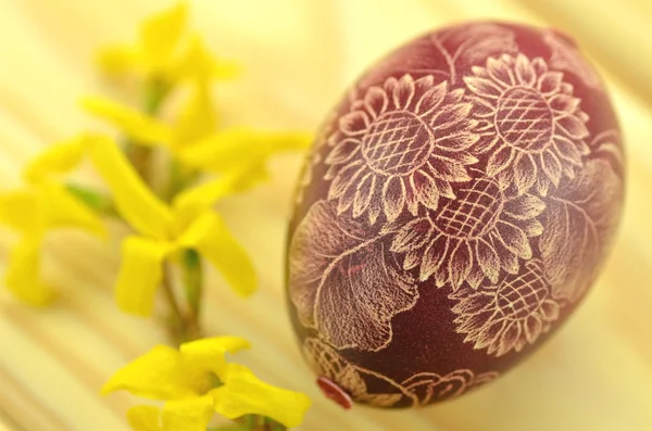 Traditionelle zerkratzte handgefertigte Ostereier und Forsythie-Blumen — Stockfoto