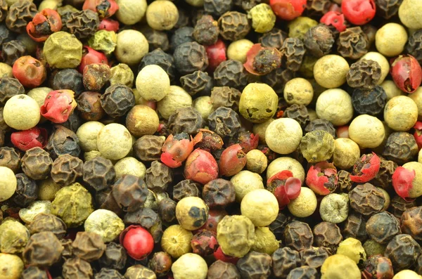 Closeup of colored pepper — Stock Photo, Image