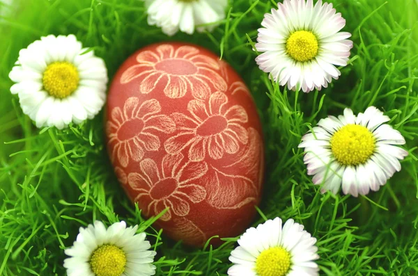 Traditional scratched handmade Easter egg in the grass — Stock Photo, Image