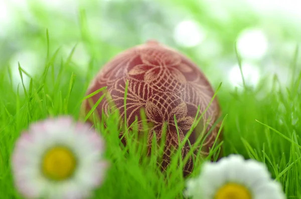 Ručně vyráběné velikonoční vajíčko na trávě na pozadí bokeh — Stock fotografie