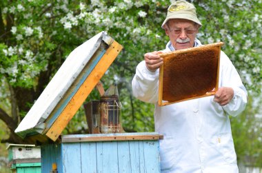 Arı kovanı ilkbaharda yapıyor kıdemli arıcı