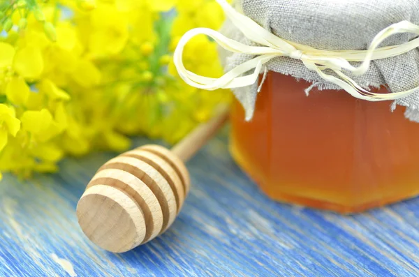 Barattolo di delizioso miele in un barattolo con fiori di colza e tuffatore di miele — Foto Stock