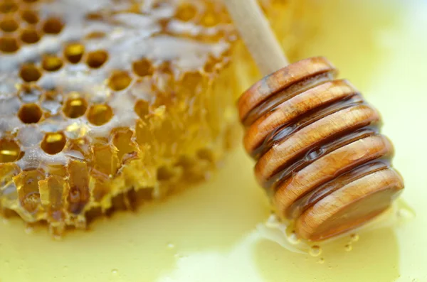 Läcker honung i honeycomb och trä strömstare — Stock fotografie