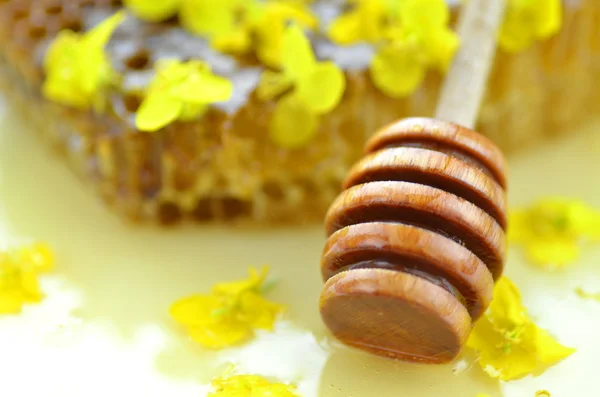 Deliciosa miel, panal de abeja, delicadas flores de colza y cazo de miel — Foto de Stock