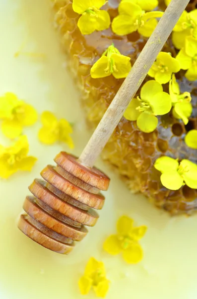 Deliciosa miel, panal de abeja, delicadas flores de colza y cazo de miel — Foto de Stock