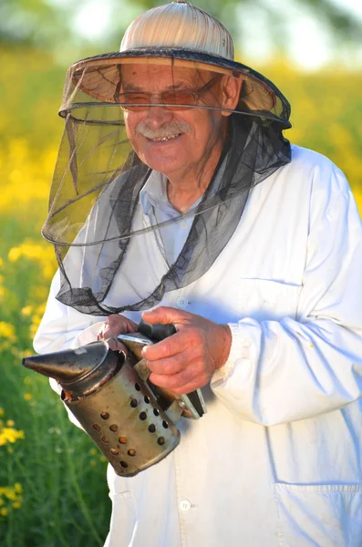 Ervaren senior apiarist werken in de bloeiende koolzaad-veld — Stockfoto