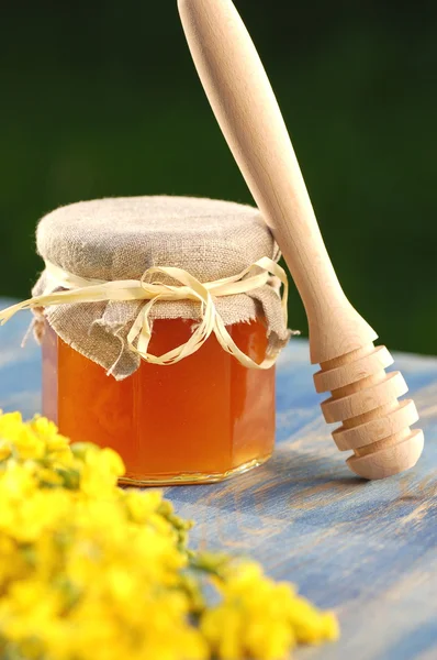 Frasco de mel delicioso com flores de colza e mel dipper — Fotografia de Stock
