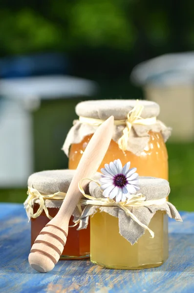 Frascos cheios de mel delicioso e pólen de abelha em apiário — Fotografia de Stock