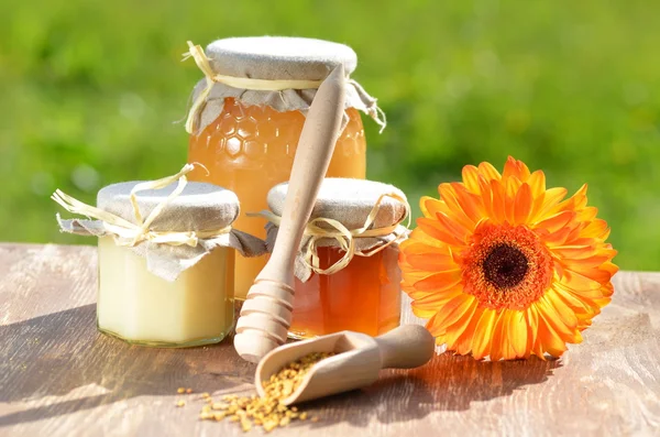 Jars full of delicious honey and bee pollen in apiary — Stock Photo, Image