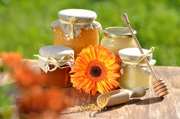 Jars full of delicious honey and bee pollen in apiary — Stock Photo, Image