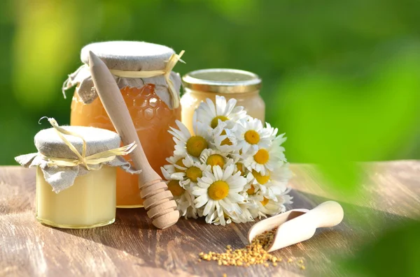 Jars full of delicious honey and bee pollen in apiary — Stock Photo, Image