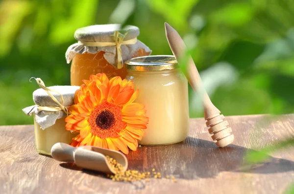 Frascos llenos de deliciosa miel y polen de abeja en colmenar —  Fotos de Stock