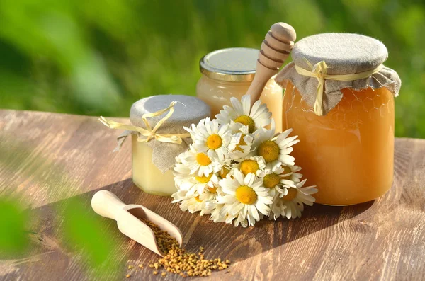 Jars full of delicious honey and bee pollen in apiary — Stock Photo, Image