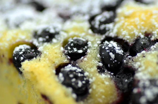 Pièce de délicieux gâteau aux éponges fruitées maison aux myrtilles — Photo