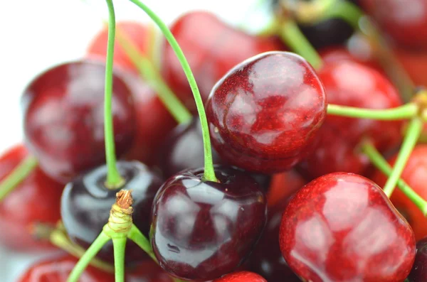 Gros plan de cerises mûres, fraîches et douces — Photo