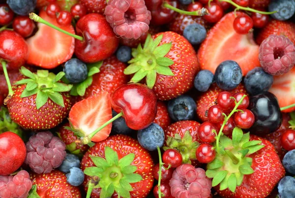 Sorten von Beerenfrüchten, Erdbeeren, Himbeeren, Kirschen, Blaubeeren, Johannisbeeren — Stockfoto