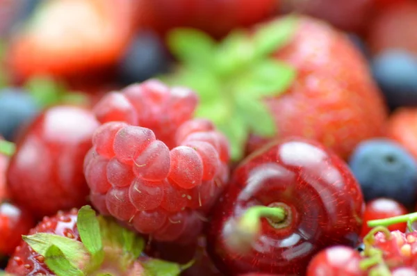 Sorten von Beerenfrüchten, Erdbeeren, Himbeeren, Kirschen, Blaubeeren, Johannisbeeren — Stockfoto