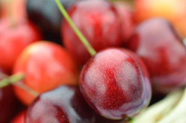 Gros plan de cerises mûres, fraîches et douces dans un panier en osier — Photo