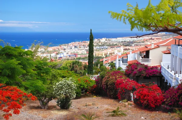Tenerife, kanarya adaları, İspanya 'daki güzel tatil beldesi Playa de las amerika' nın muhteşem manzarası. — Stok fotoğraf