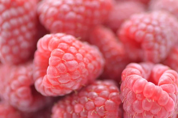 Closeup of ripe, fresh and sweet raspberries — Stock Photo, Image