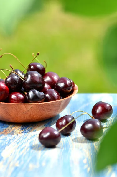 Closeup of ripe, fresh and sweet cherries in a bowl on table in the garden — Stock Photo, Image