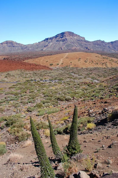 Paysage déserté de teide parc national sur tenerife, îles Canaries, espagne — Photo