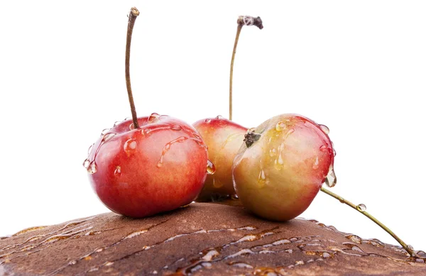 Шоколадные блинчики с яблоками — стоковое фото