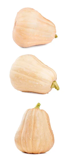 Tree pumpkins isolated on white — Stock Photo, Image