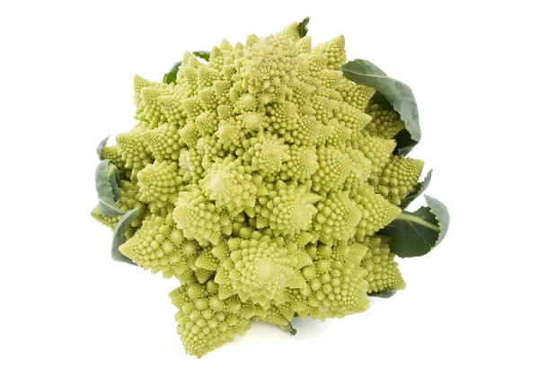 Bir bütün romanesco brokoli — Stok fotoğraf