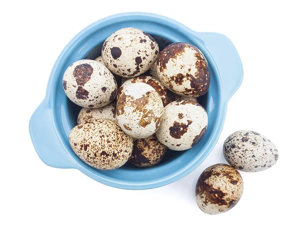 Kwartel ei in kom, geïsoleerd op witte achtergrond — Stockfoto
