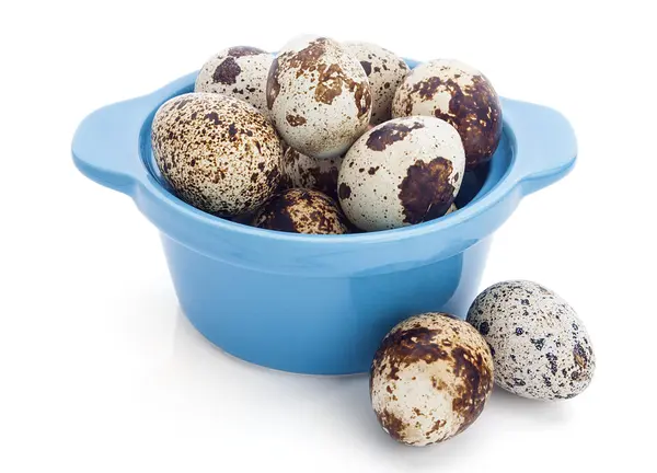 Kwartel ei in kom, geïsoleerd op witte achtergrond — Stockfoto