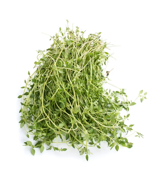 Fresh thyme — Stock Photo, Image