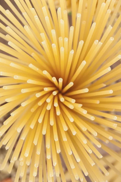 Pâtes alimentaires non cuites spaghetti macaroni — Photo