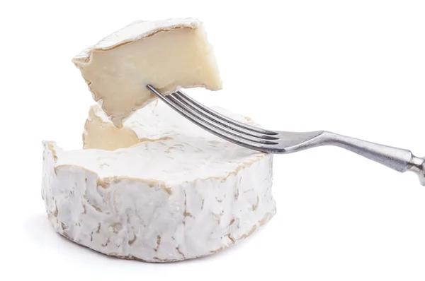 Camembert ost skiva — Stockfoto