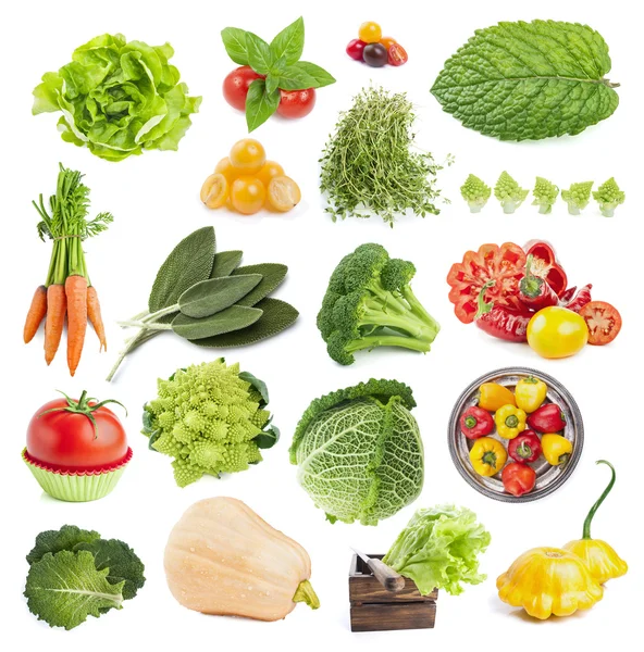 Collection of vegetables isolated on white background — Stock Photo, Image