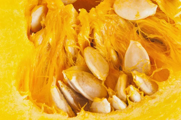 Pumpkin texture (orange background) — Stock Photo, Image