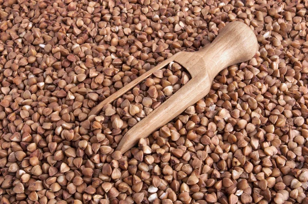 Buckwheat Texture — Stock Photo, Image