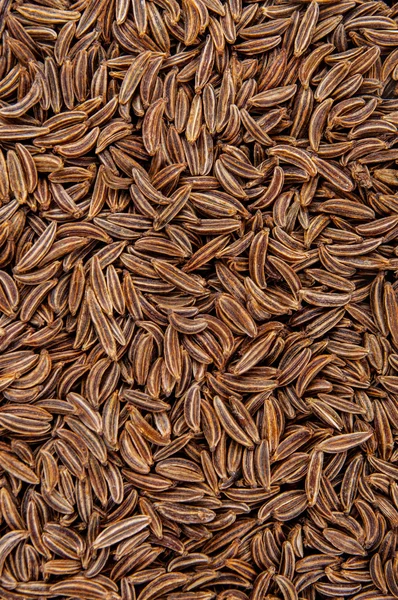 Dried cumin seeds — Stock Photo, Image