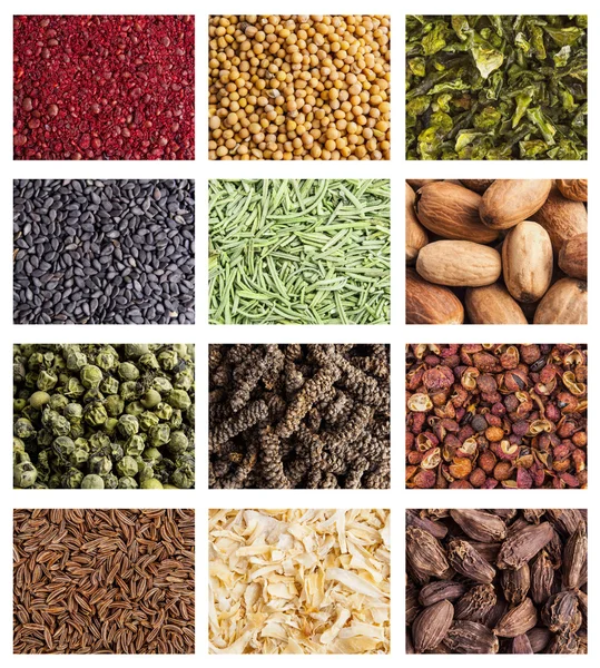 Insamling av olika kryddor — Stockfoto